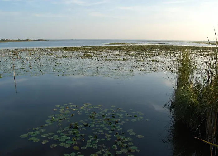 Industriel Proche De Grandlieu, Parking Privatif - Fr-1-306-1324 Saint-Mars-de-Coutais
